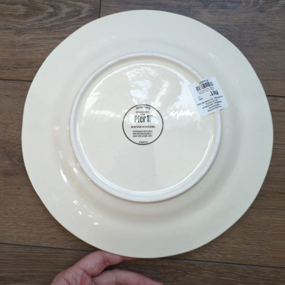 RARE Pier 1 Winter Wonders Dinner Plate Santa Deer Penguin Benny Birds 10.5